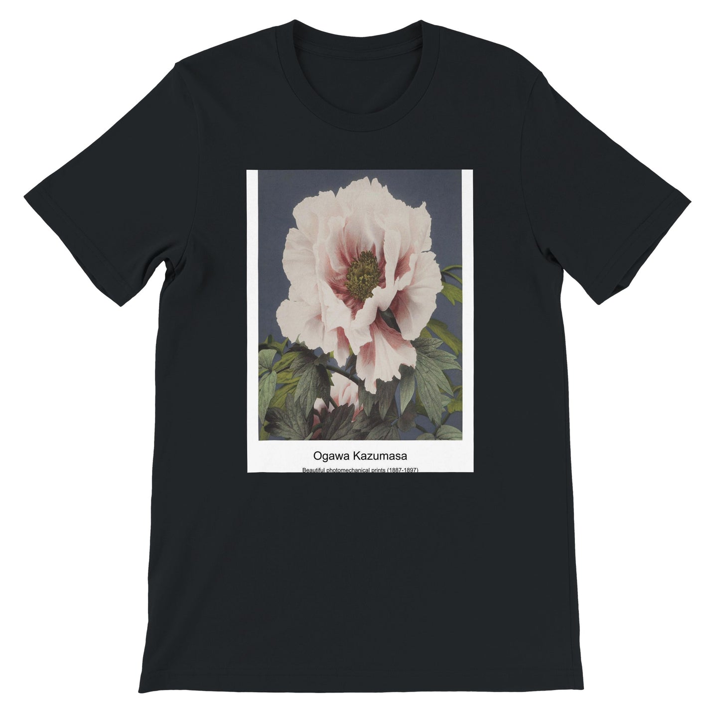 8e6d9547-caef-4316-918e-b75e8d1bc2fe