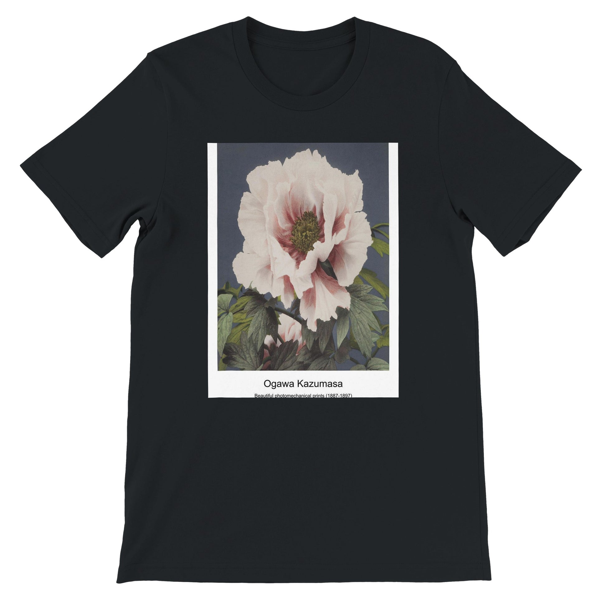 8e6d9547-caef-4316-918e-b75e8d1bc2fe