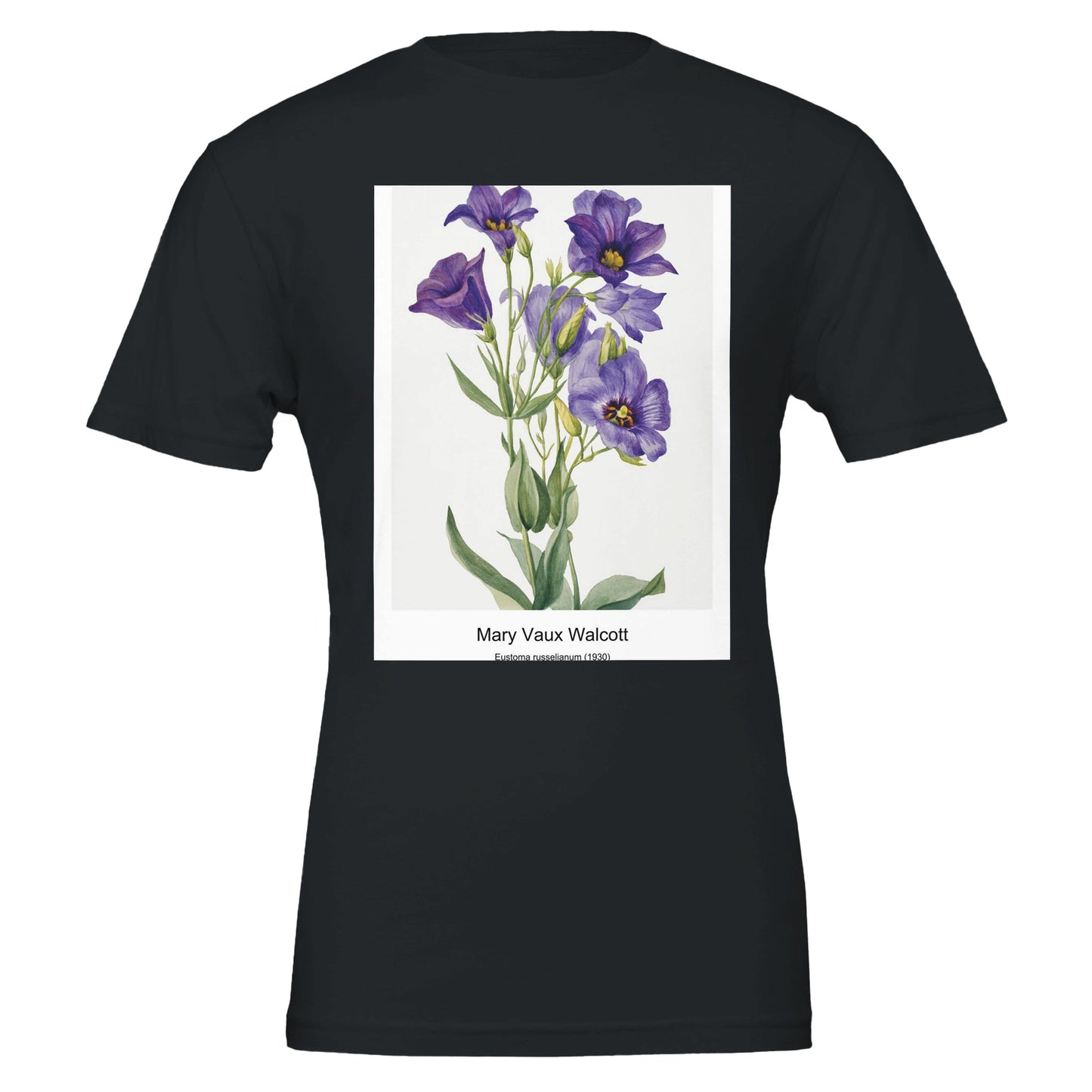 8e796ee0-c2a8-4003-aecd-373419bac6dd