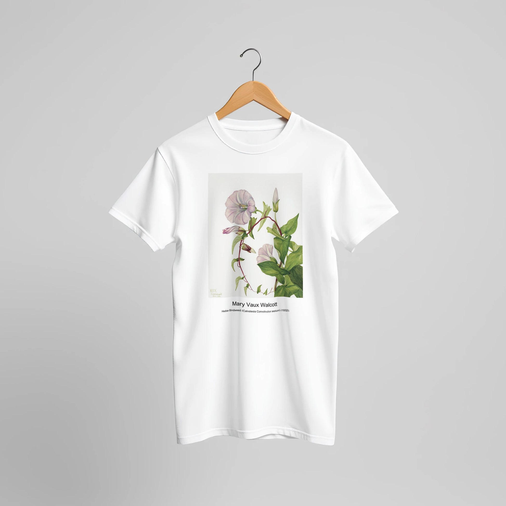 8fa00c45-7552-4f72-9f46-e853eb580945