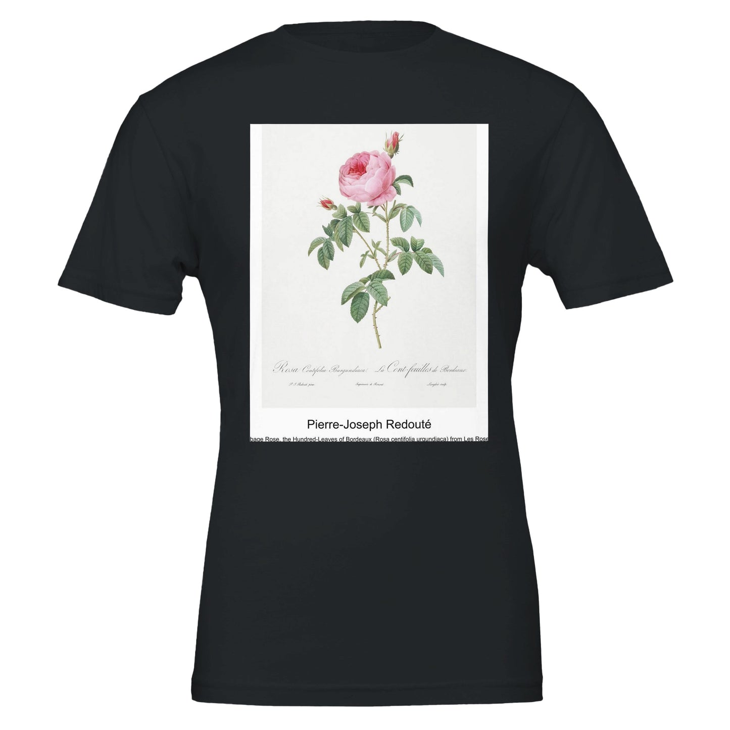 901594a3-bc12-4030-8c93-08459130a8b0