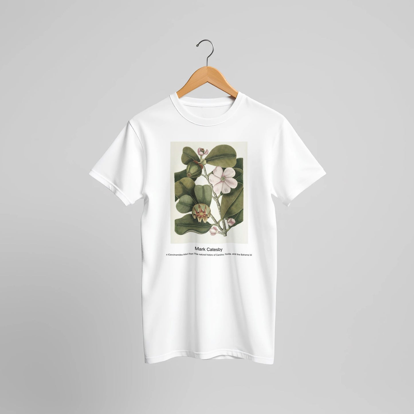 90b2b7c8-3074-478a-844b-79c4e1ef1b86