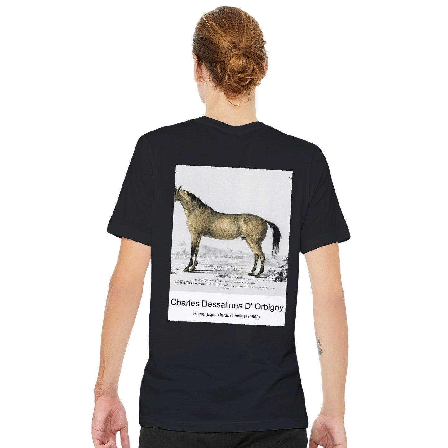 90f08378-4fe7-4d52-bb1e-ad3dbe838025