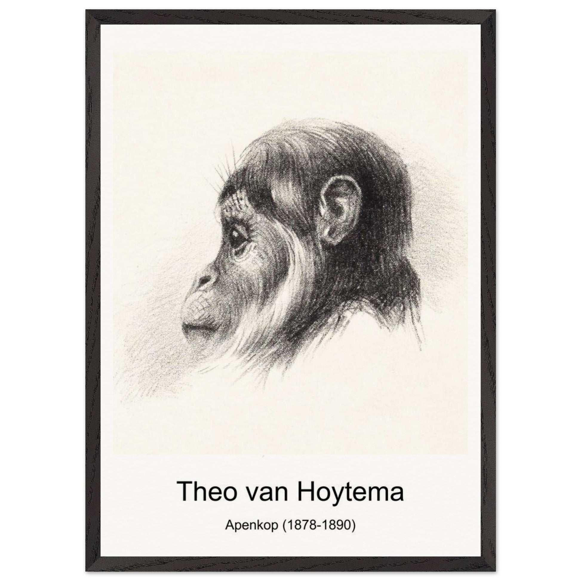 910e81dc-4d1e-4934-964a-d06e66a0df71