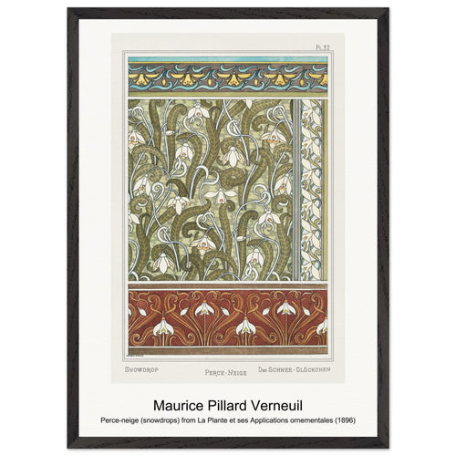 Perce-neige (snowdrops) from La Plante et ses Applications ornementales (1896) by Maurice Pillard Verneuil. Archival Print on Museum Quality Matte Paper. Premium Wood Framed Wall Art. Original Aspect Ratio