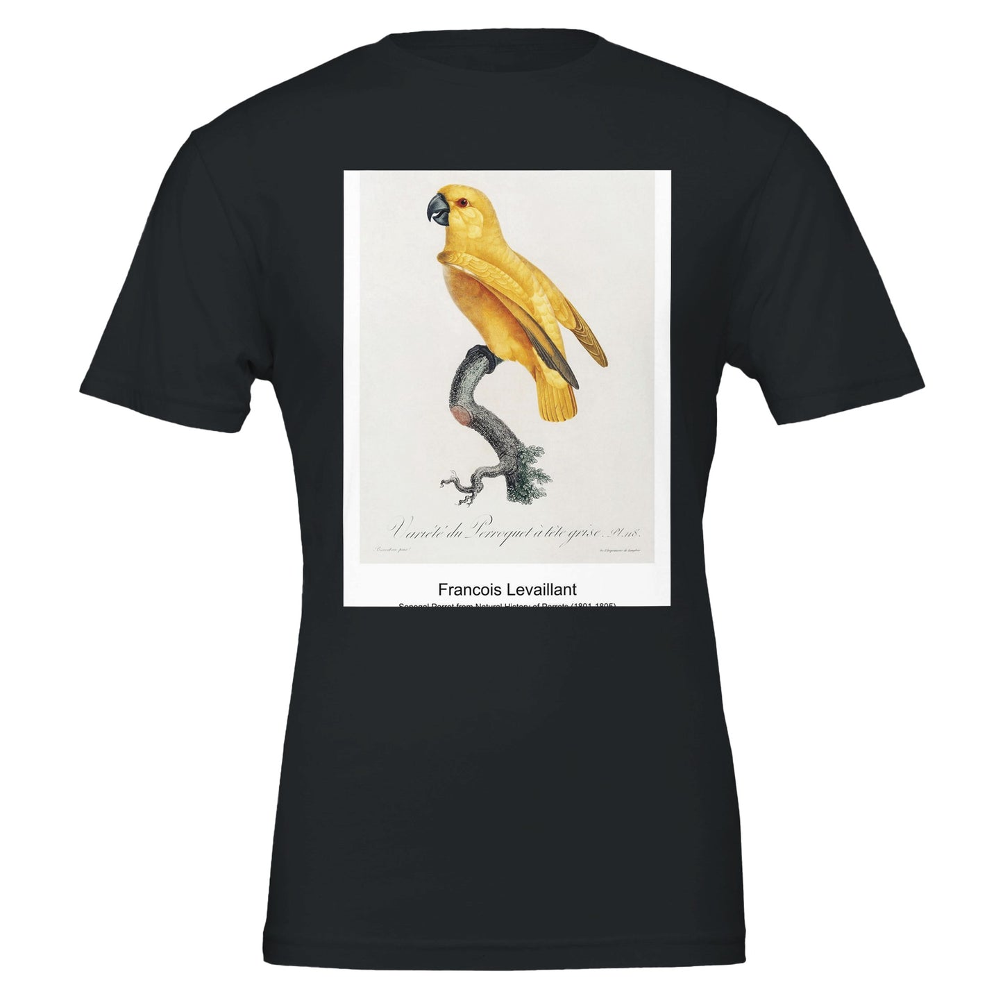 9229c9cb-aaa5-4c10-b53f-a90ed75b0b6a