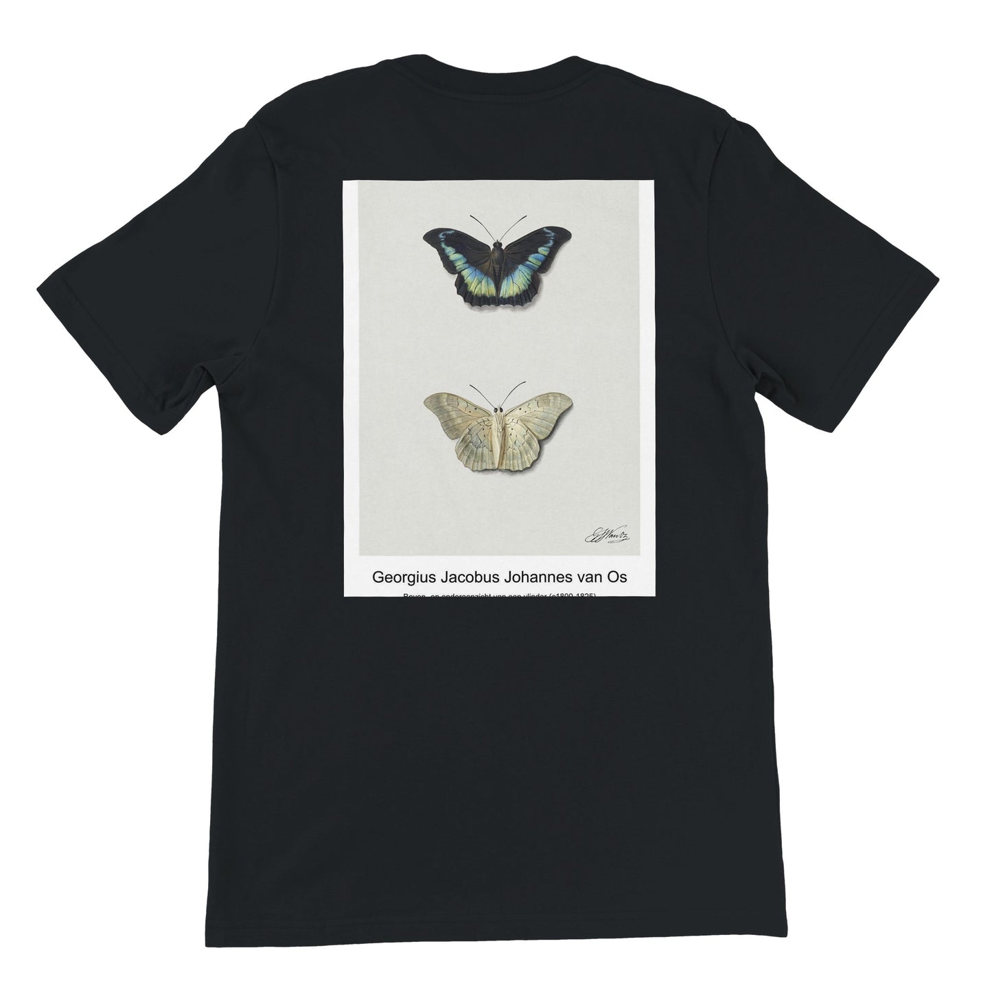 92471df1-ca0f-4c5d-bd75-b5c7d1d69dfc