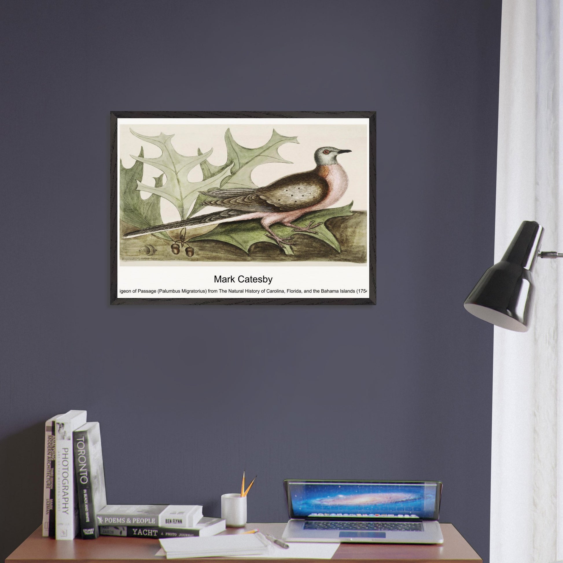 93a5b83b-1fc6-4dac-9760-83d7271ff14f