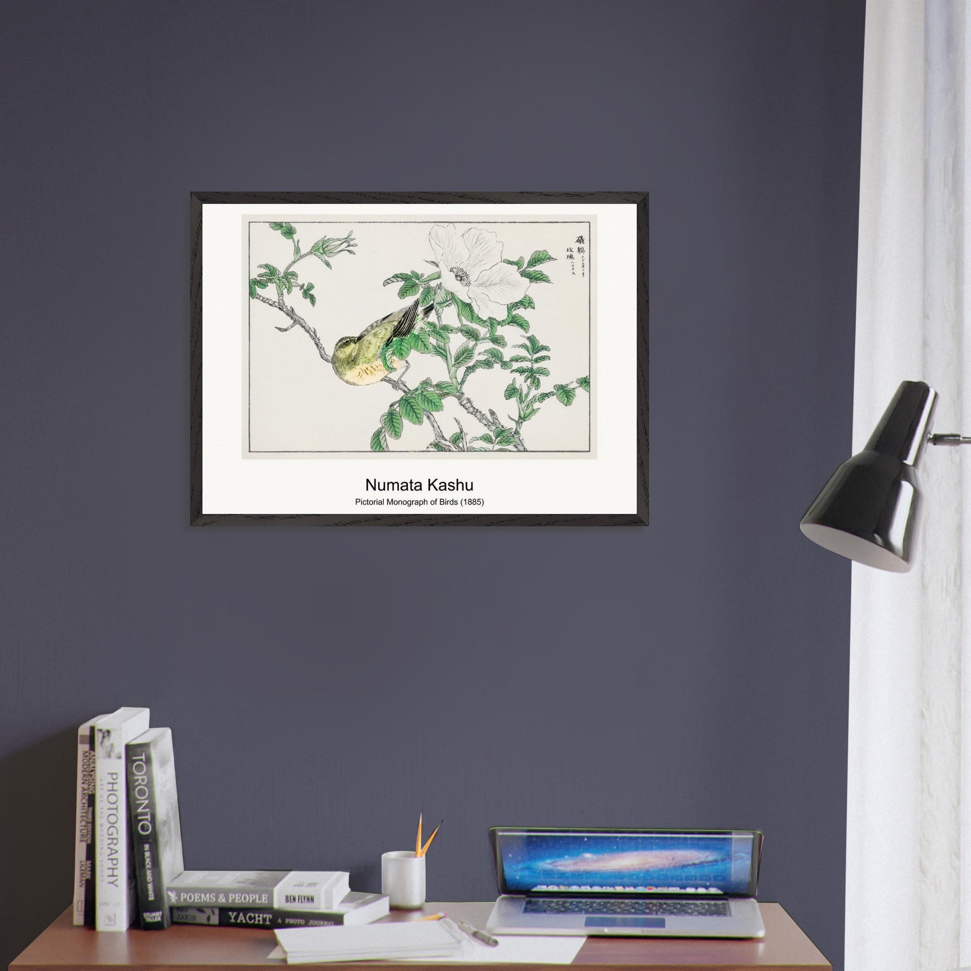 93a81de5-5c05-4b23-b31b-d097b8c823d1