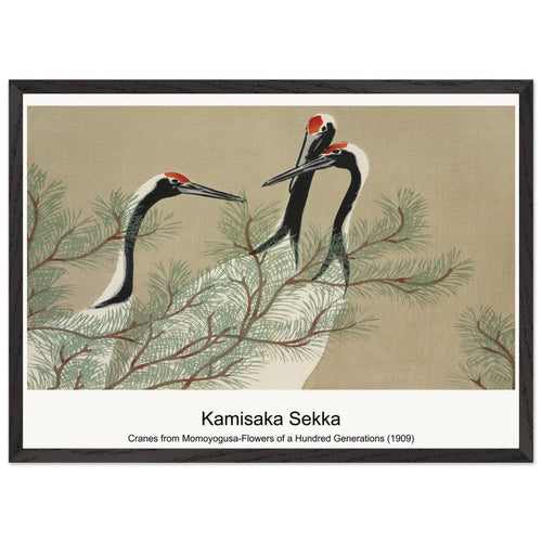 Cranes from Momoyogusa-Flowers of a Hundred Generations (1909) by Kamisaka Sekka. Archival Print on Museum Quality Matte Paper. Premium Wood Framed Wall Art. Optimised Aspect Ratio.