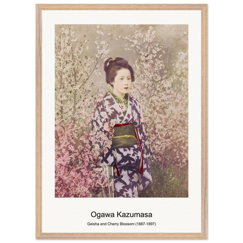 Geisha and Cherry Blossom (1887-1897) by Ogawa Kazumasa. Archival Print on Museum Quality Matte Paper. Premium Wood Framed Wall Art. Original Aspect Ratio