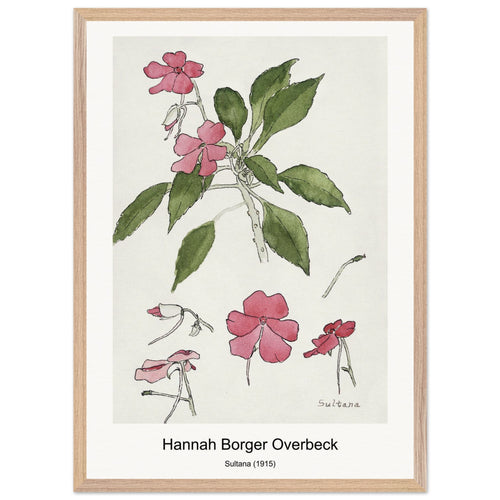 Sultana (1915) by Hannah Borger Overbeck. Archival Print on Museum Quality Matte Paper. Premium Wood Framed Wall Art. Optimised Aspect Ratio.