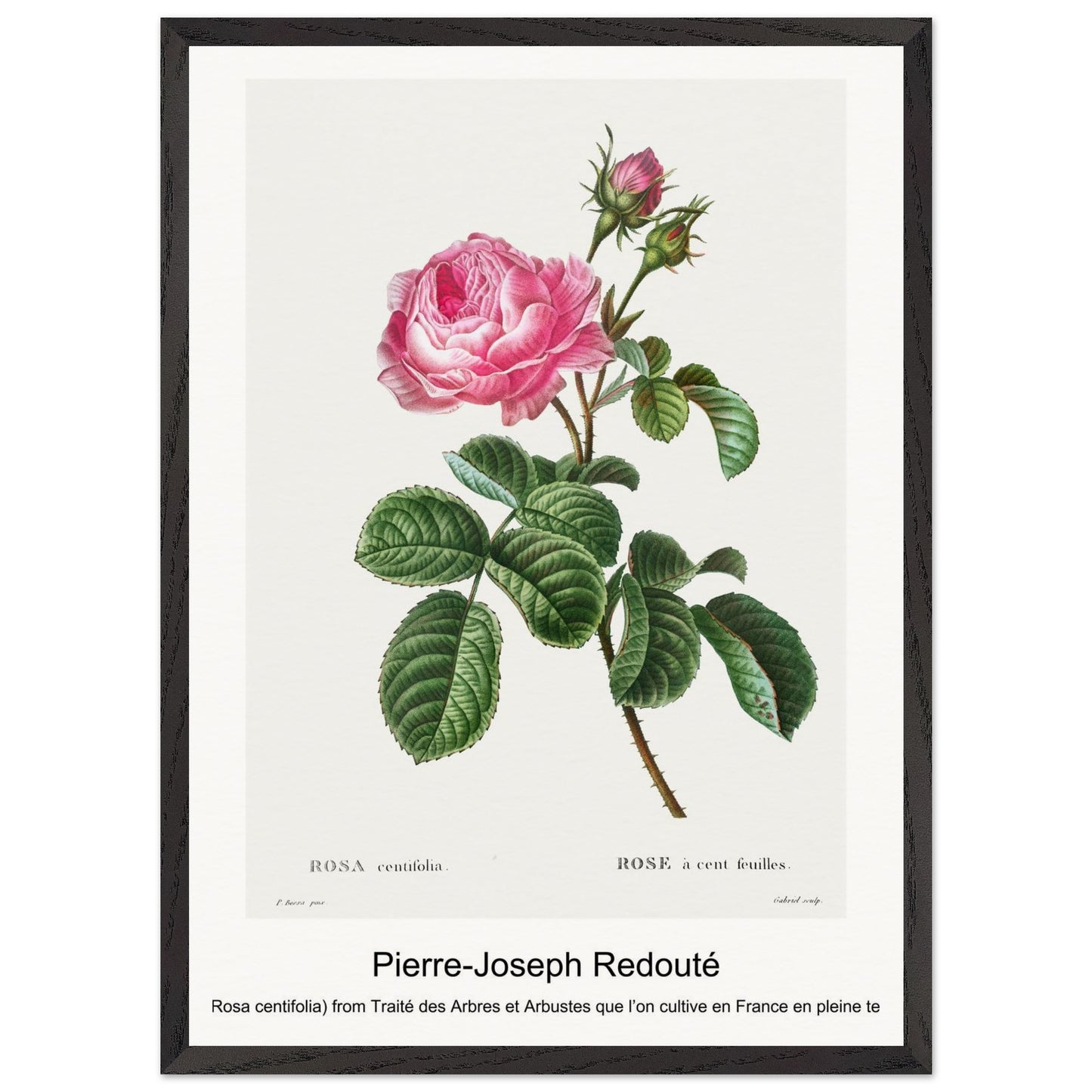 95556723-d60e-48fe-bf25-5a743afcb520