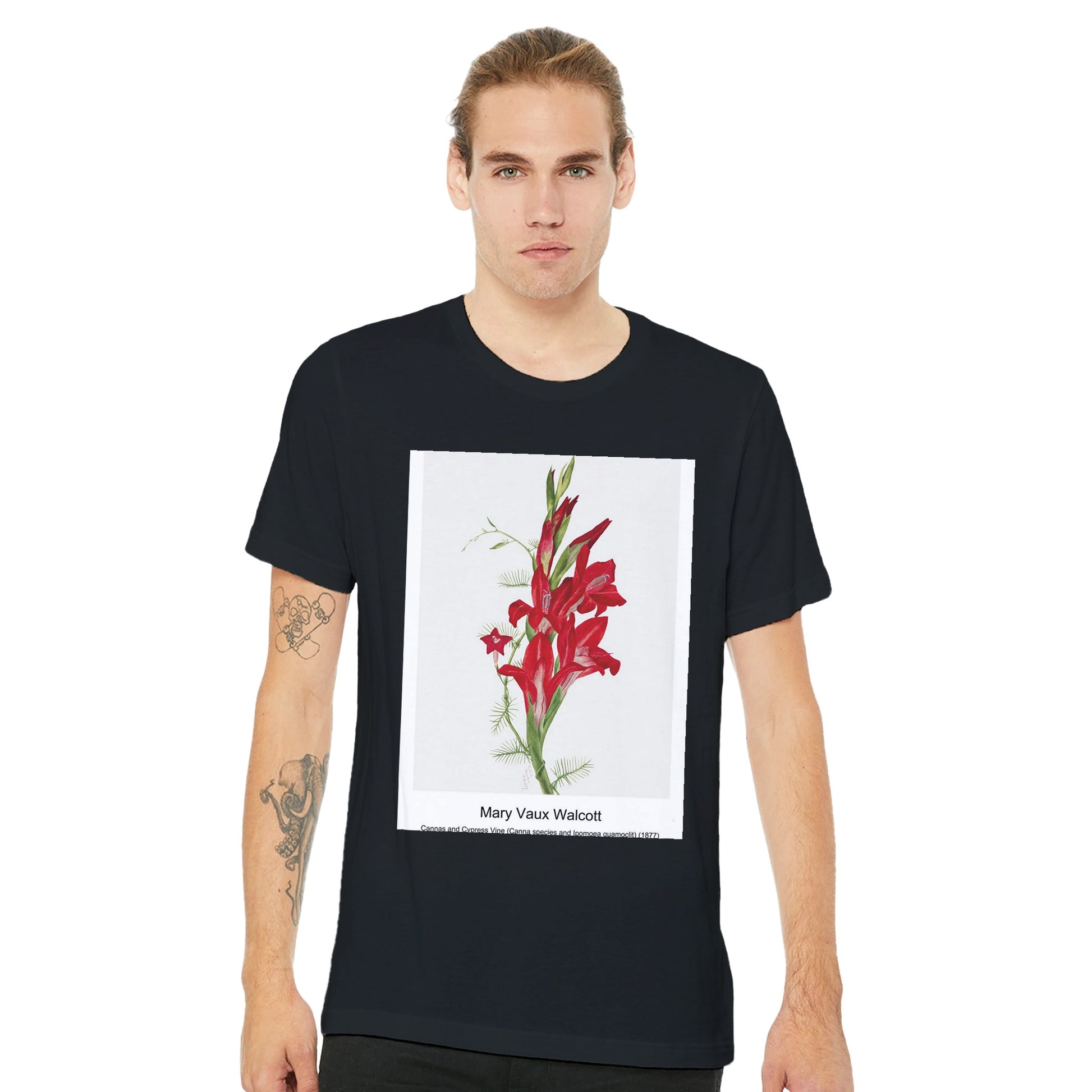 958b629d-51ec-4aff-8304-ba4f0aabcb7e