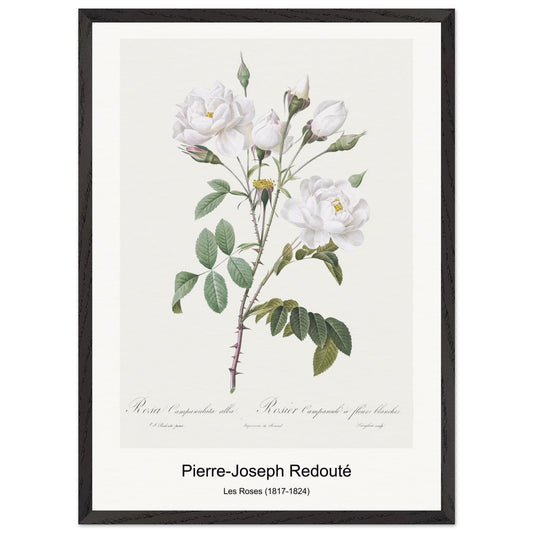 95a1b310-14ce-4759-88fc-a3900b23737a