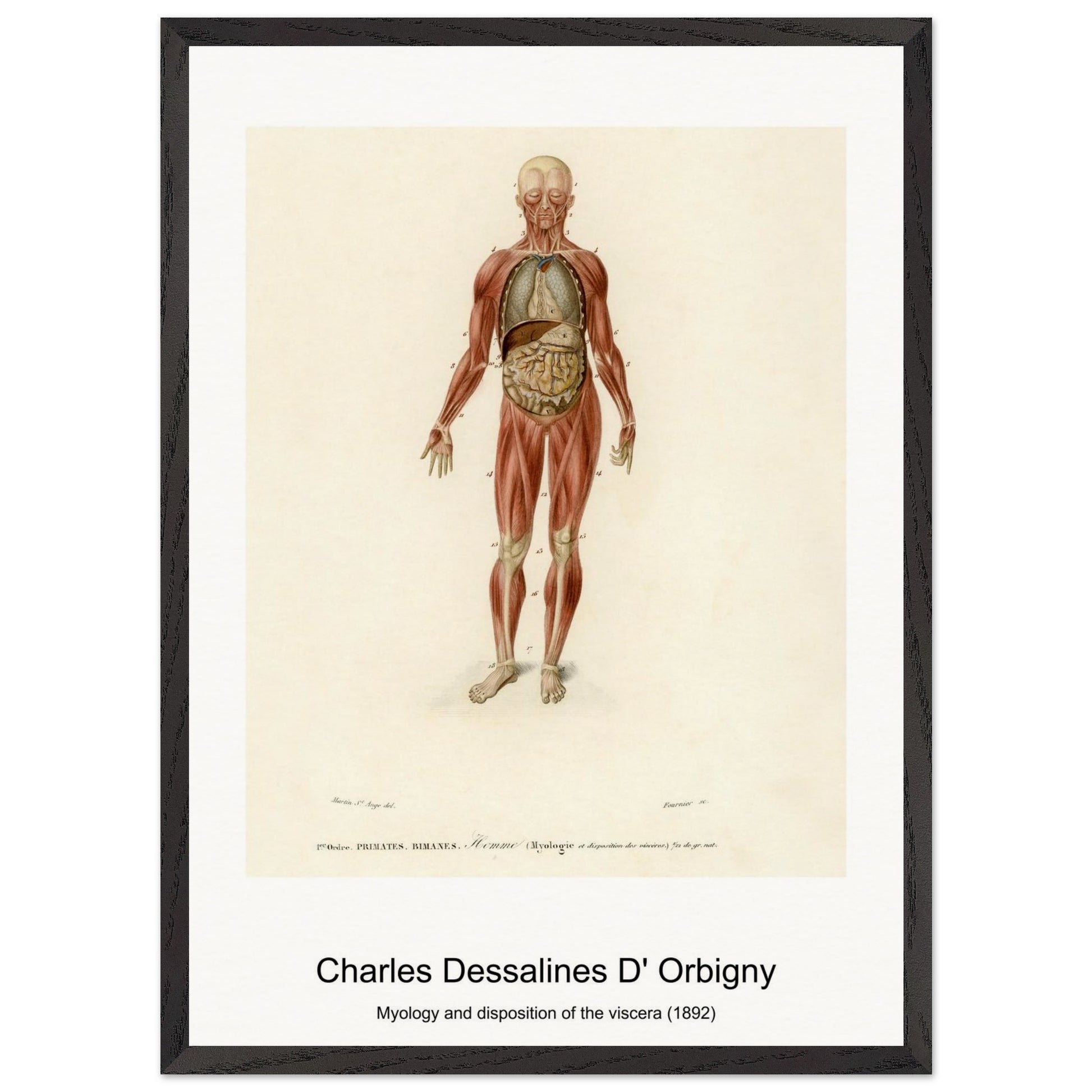 95ab8a0d-3610-40af-906f-da69bb800f15