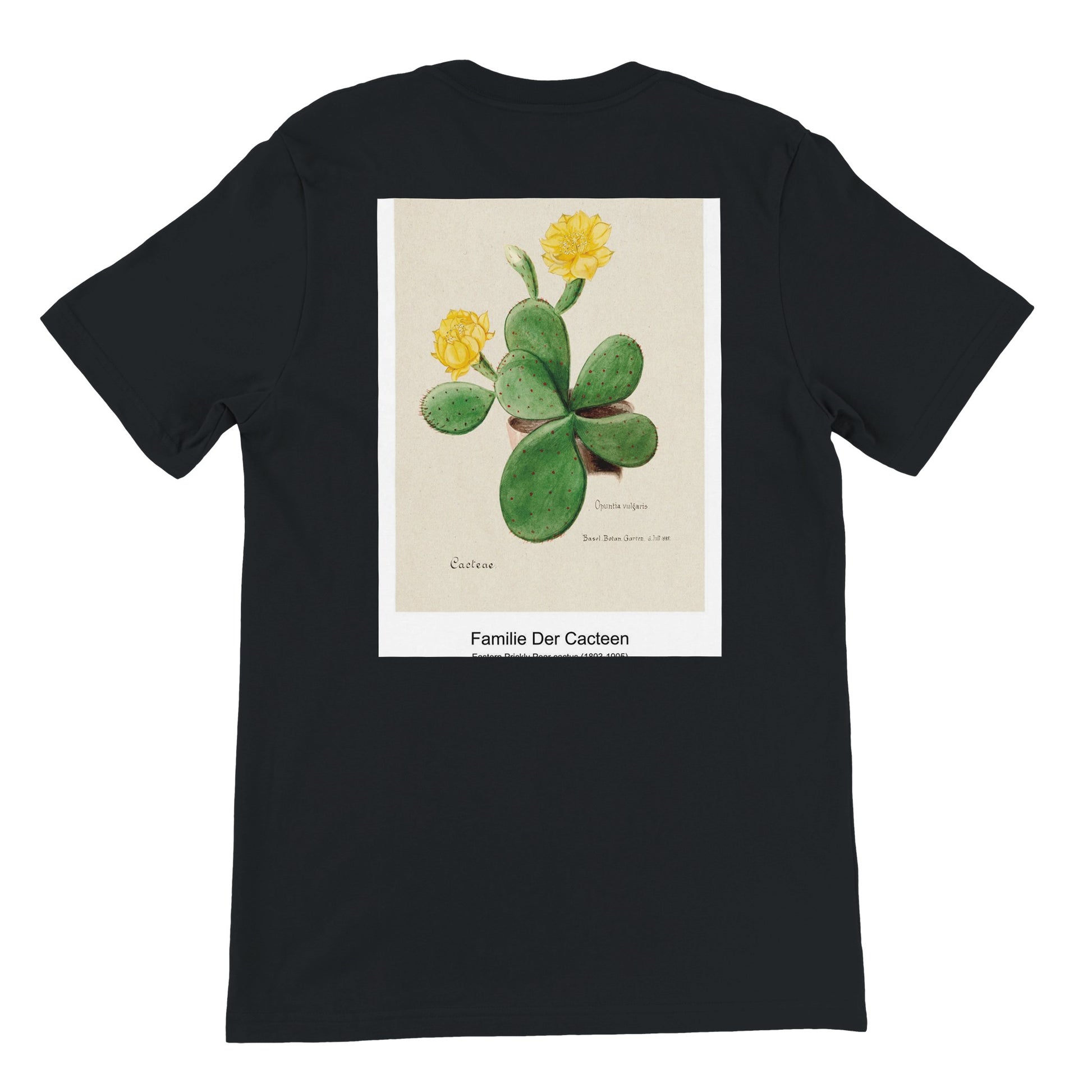 95cc486e-4570-4845-9684-1416ebf8fa38