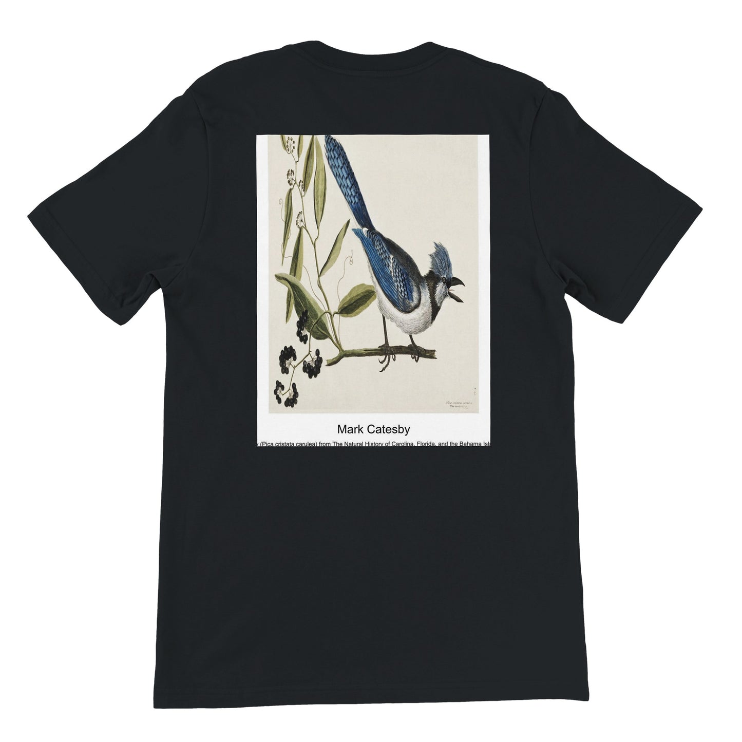 95d8a767-ad79-4ce7-b500-92208a870b34