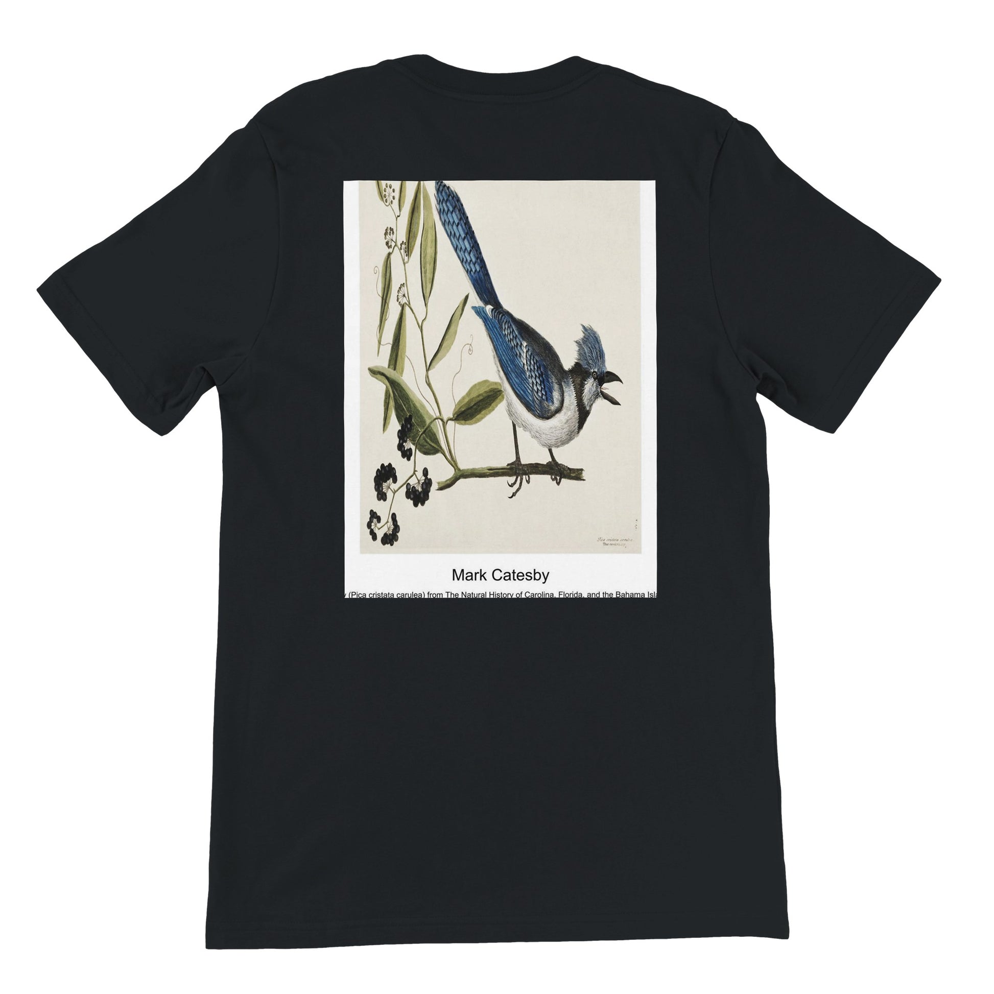 95d8a767-ad79-4ce7-b500-92208a870b34