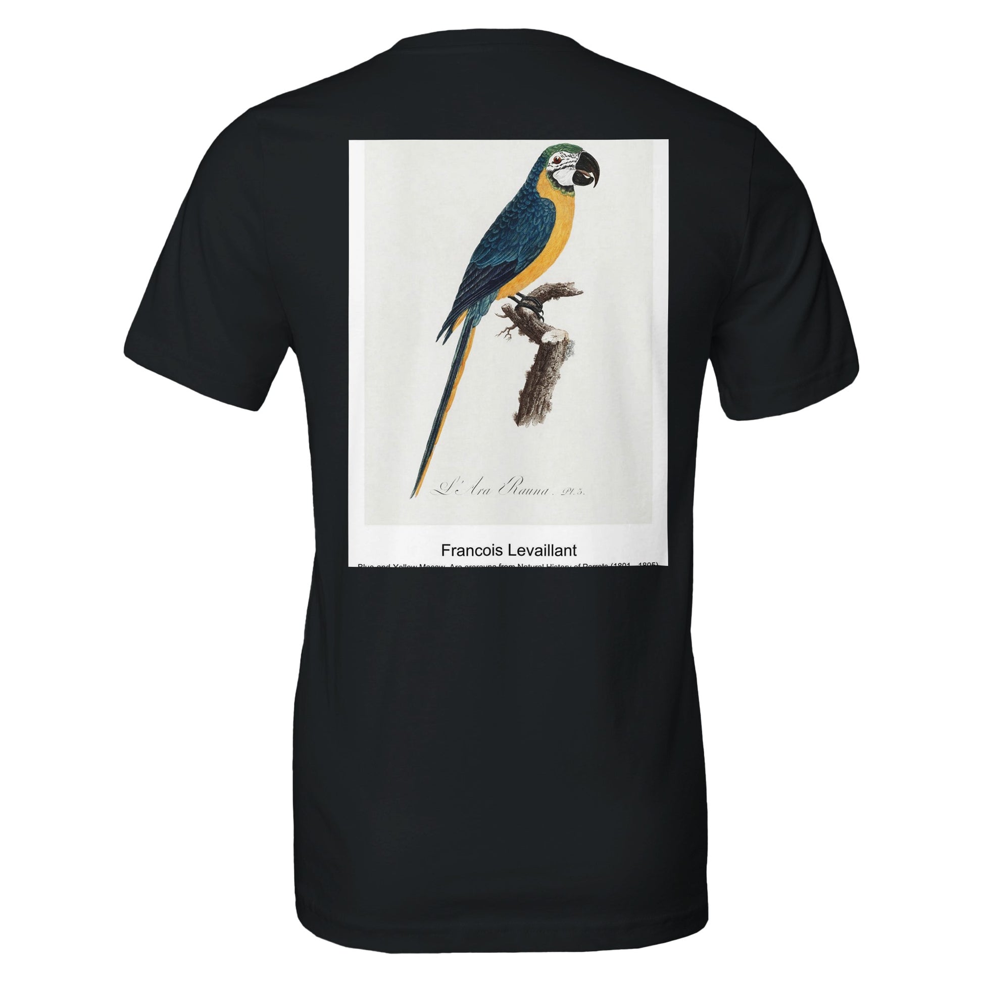 963187dd-4669-4bd3-9fea-ee79a5dffc24