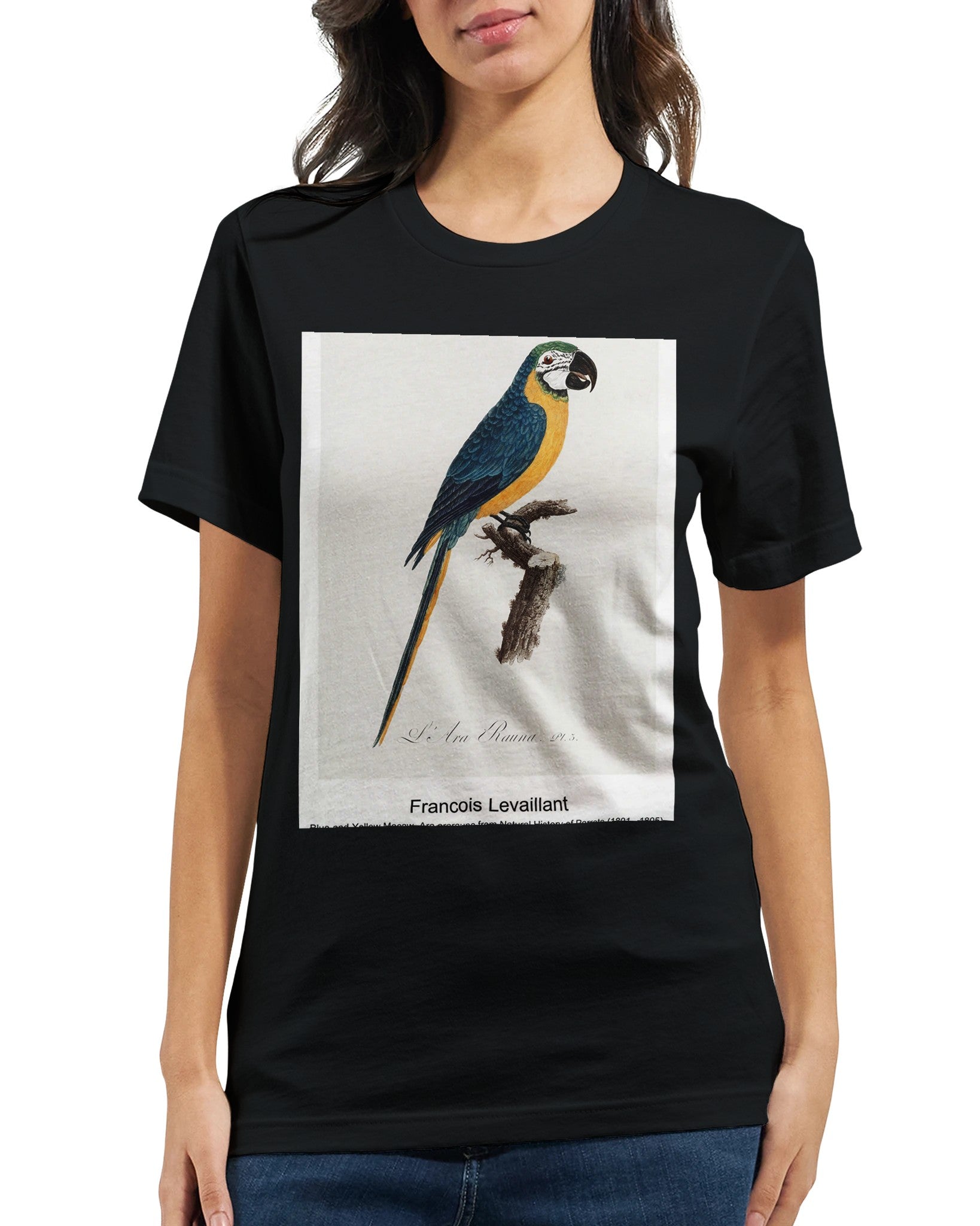 96b671a8-b3dc-406a-bba5-d19a5fb825e6