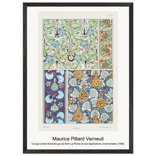 Courge (white-flowered gourd) from La Plante et ses Applications ornementales (1896) by Maurice Pillard Verneuil. Archival Print on Museum Quality Matte Paper. Premium Wood Framed Wall Art. Original Aspect Ratio