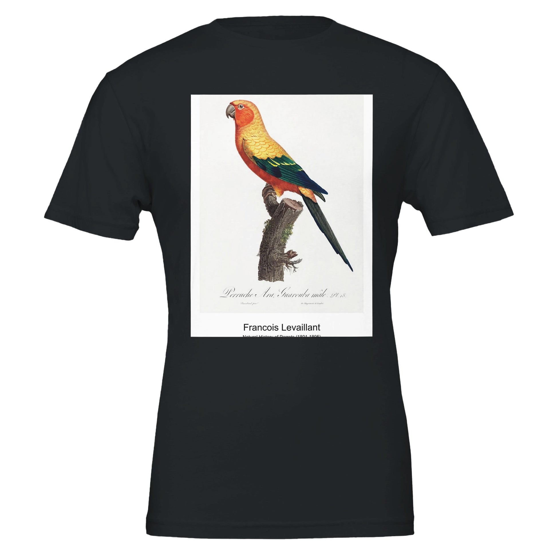 9786c639-6844-4beb-b959-ffd22f1621ad