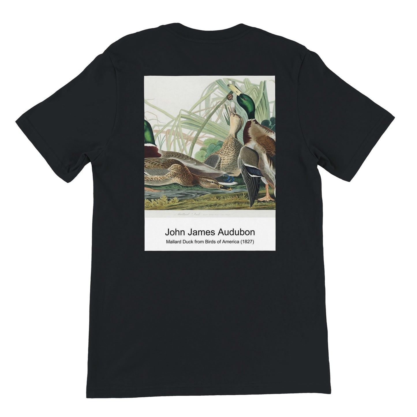 978a0b04-68b4-48a7-9bec-e862f018fd0c