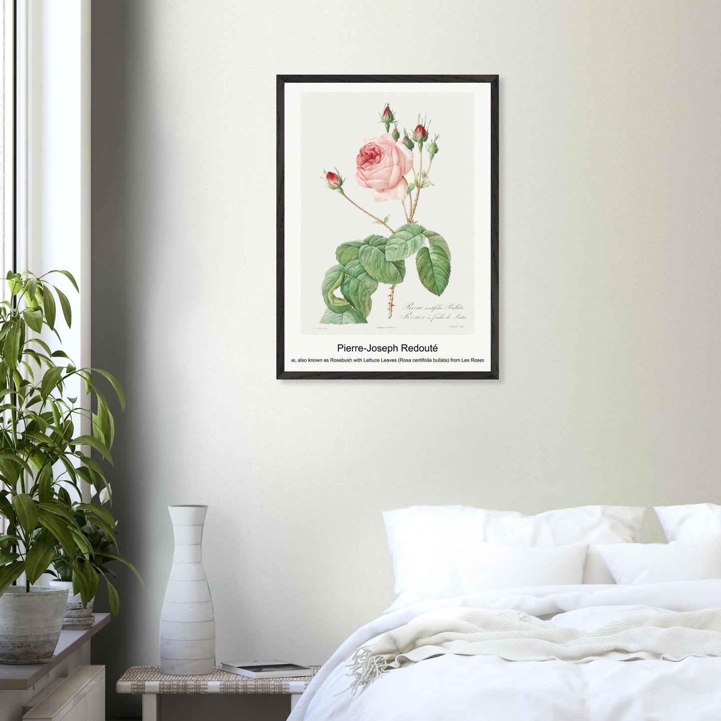 979c8fb4-946b-42ab-8a1c-2c680866524b