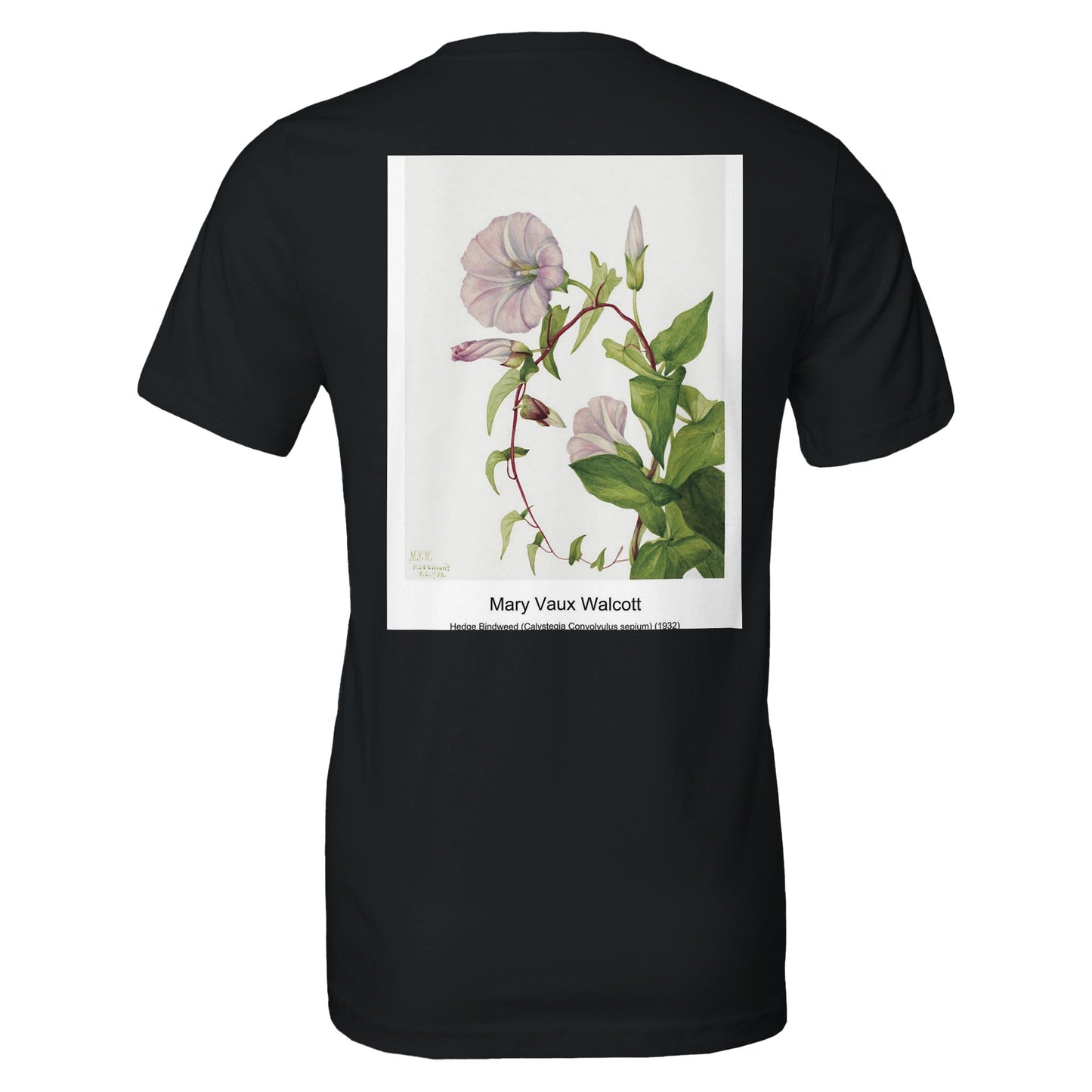 97b2d01b-3db7-47d1-84b5-b5c042c1de03