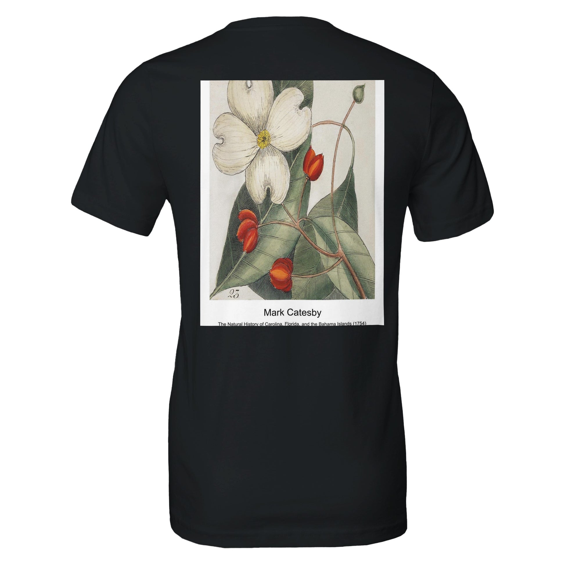 97c428de-b115-476b-b48d-55c06d5b8e97