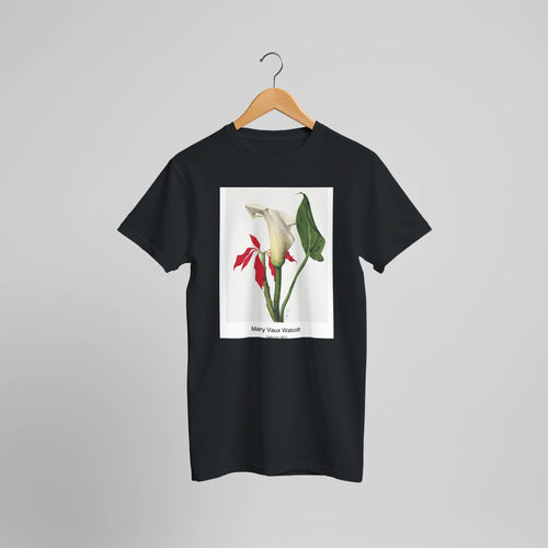 Calla Lily (1877) by Mary Vaux Walcott. Custom Print on a 100% Airlume Combed and Ring-Spun Cotton Unisex Crewneck T-shirt Optimised Aspect Ratio.