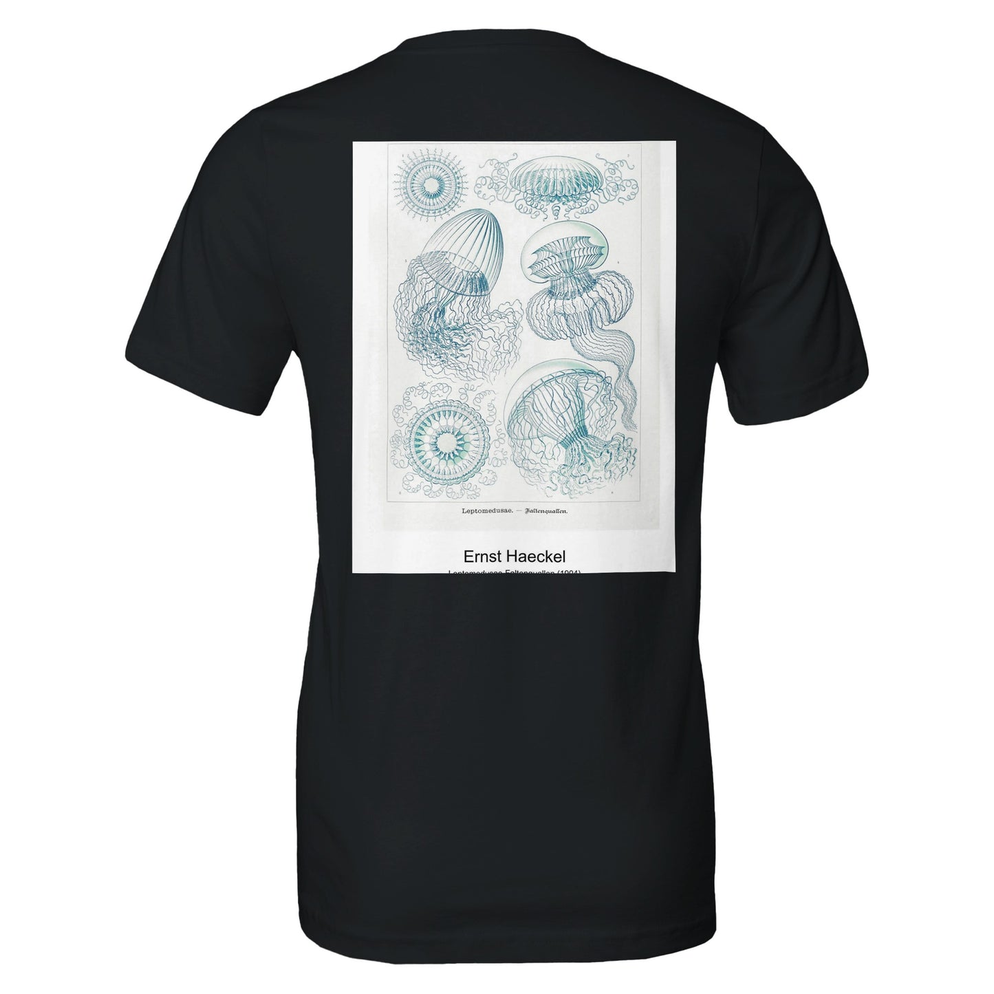 9807ee42-7af6-492f-b582-5ef39ea3737f