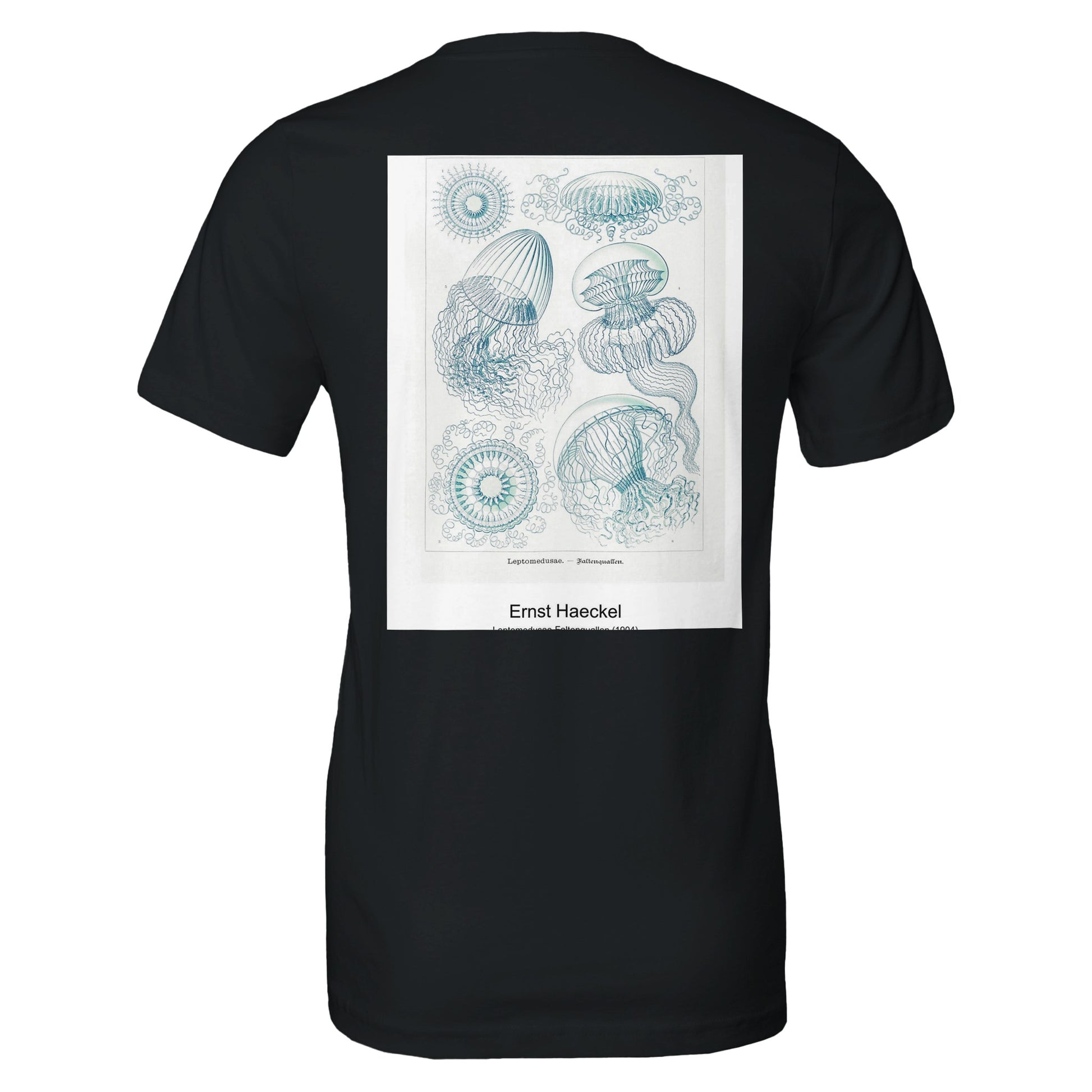 9807ee42-7af6-492f-b582-5ef39ea3737f