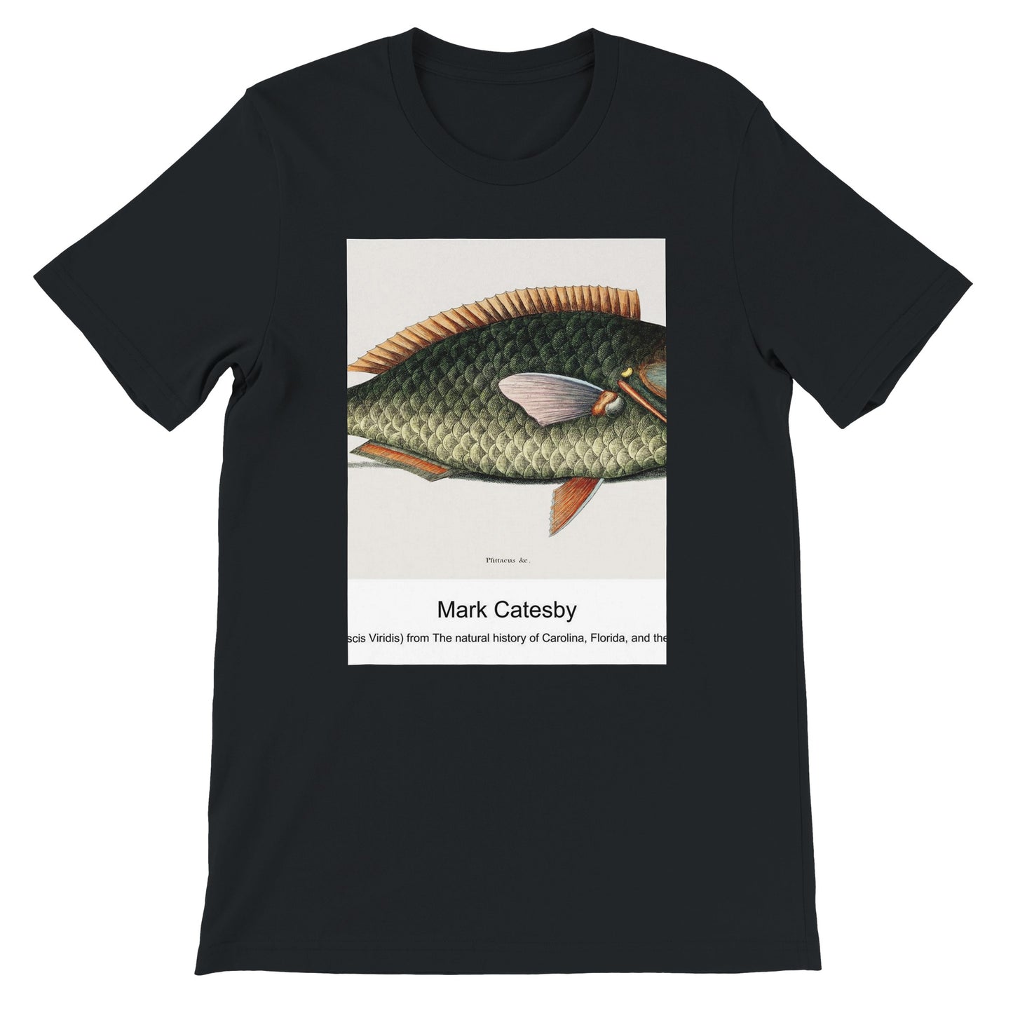 992045ac-018d-499c-a5fa-18f22e19b16f