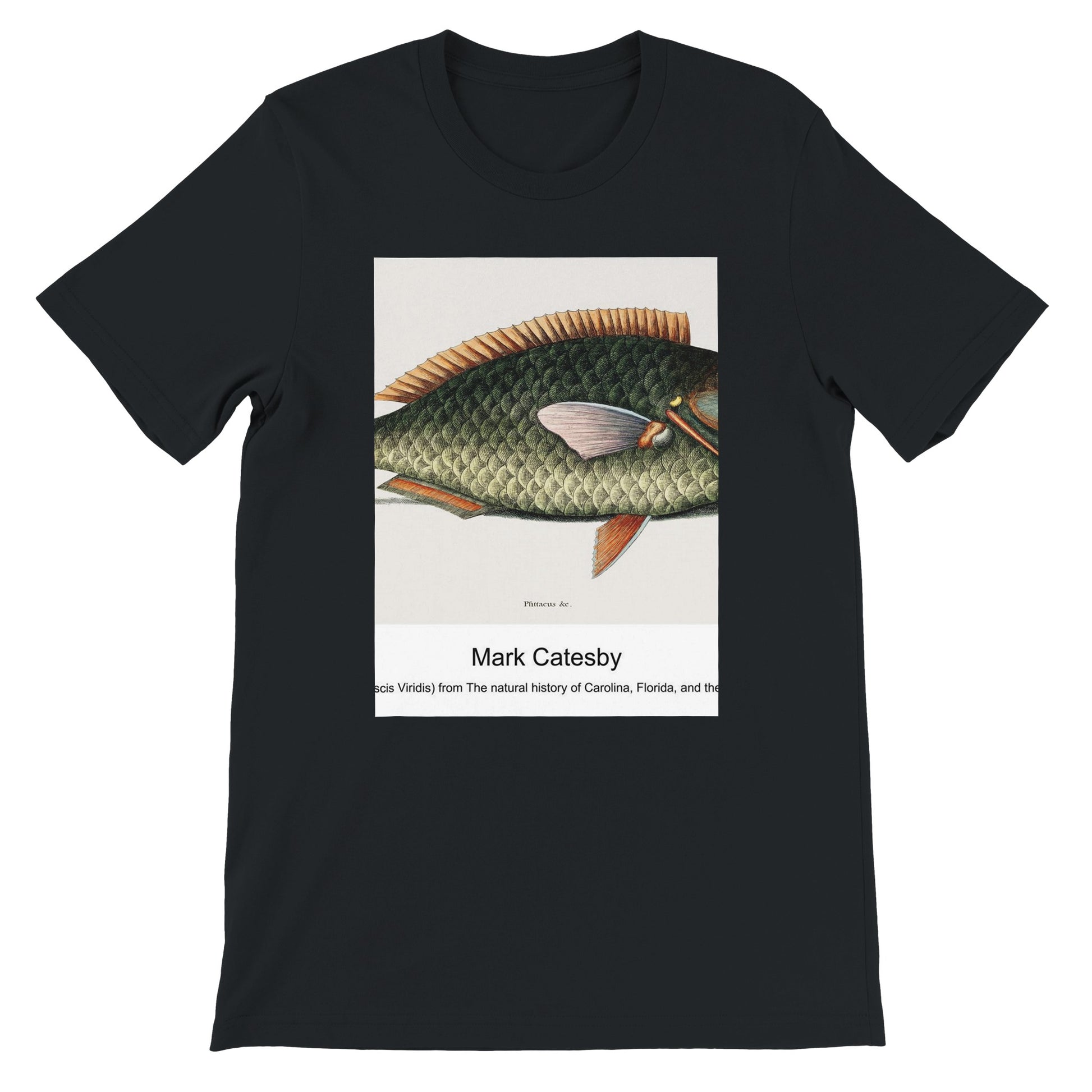 992045ac-018d-499c-a5fa-18f22e19b16f