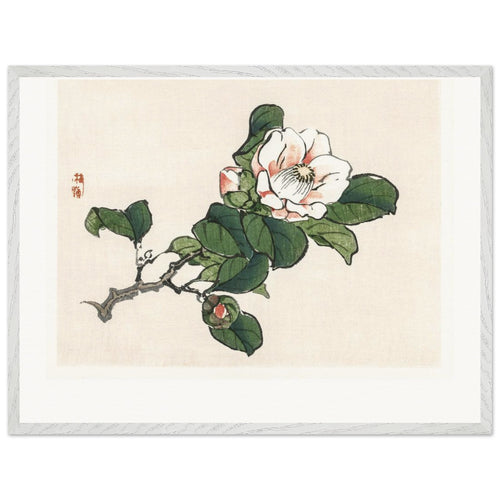 Camelia (1913) by Kōno Bairei. Archival Print on Museum Quality Matte Paper. Premium Wood Framed Wall Art. Original Aspect Ratio