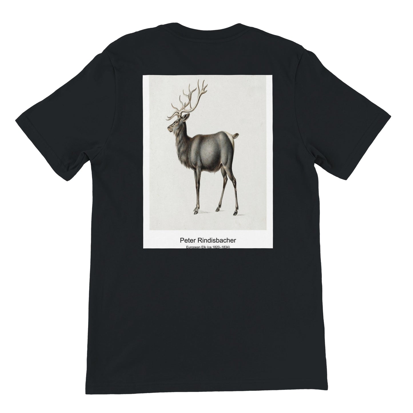 9a22c2f8-e638-472f-93c8-c57aedc0b0c1