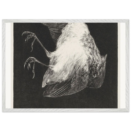 Dood roodborstje (1895) by Theo van Hoytema. Archival Print on Museum Quality Matte Paper. Premium Wood Framed Wall Art. Optimised Aspect Ratio.