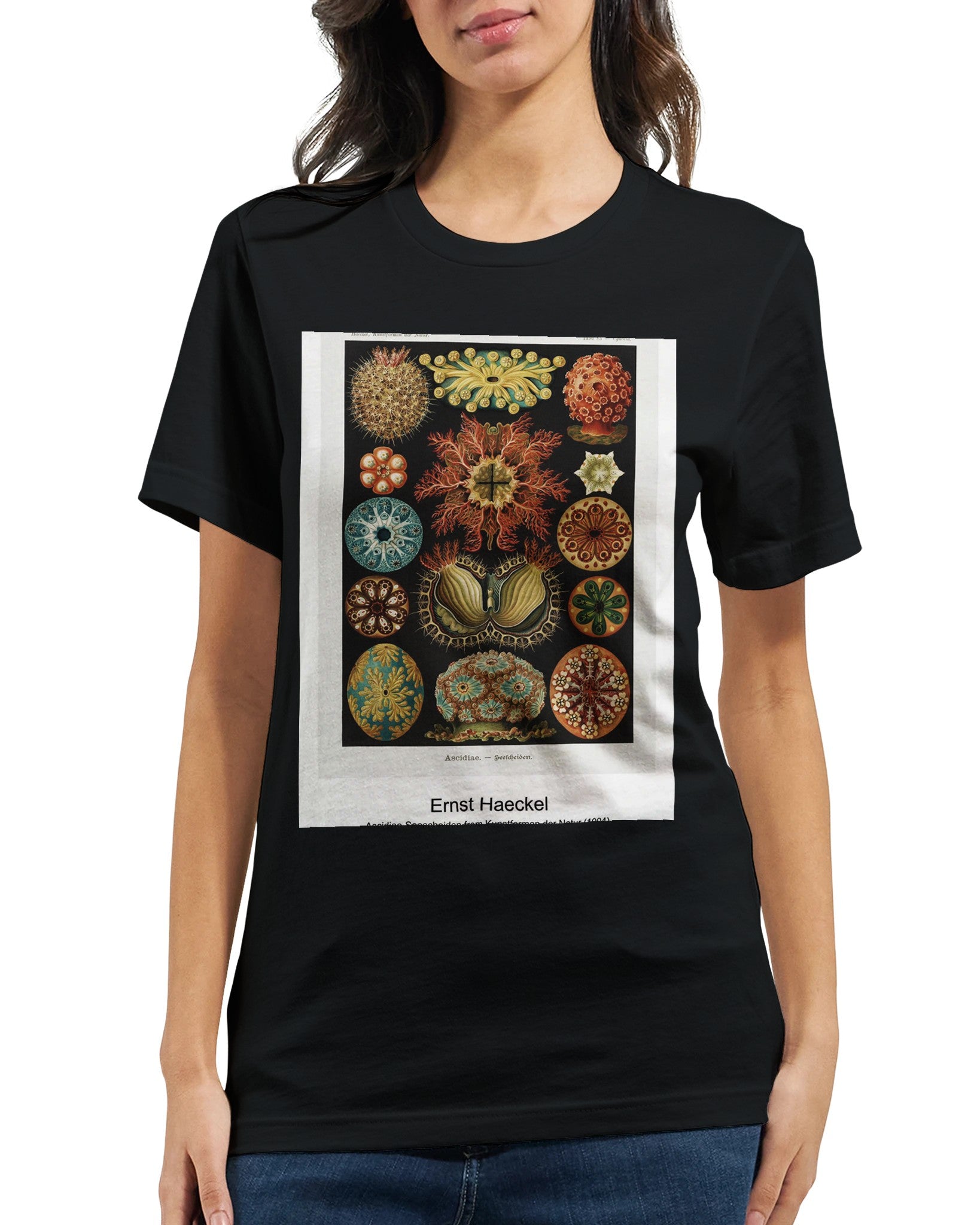 9b3f4f4f-dfa9-4a45-ba33-40717de8abdc