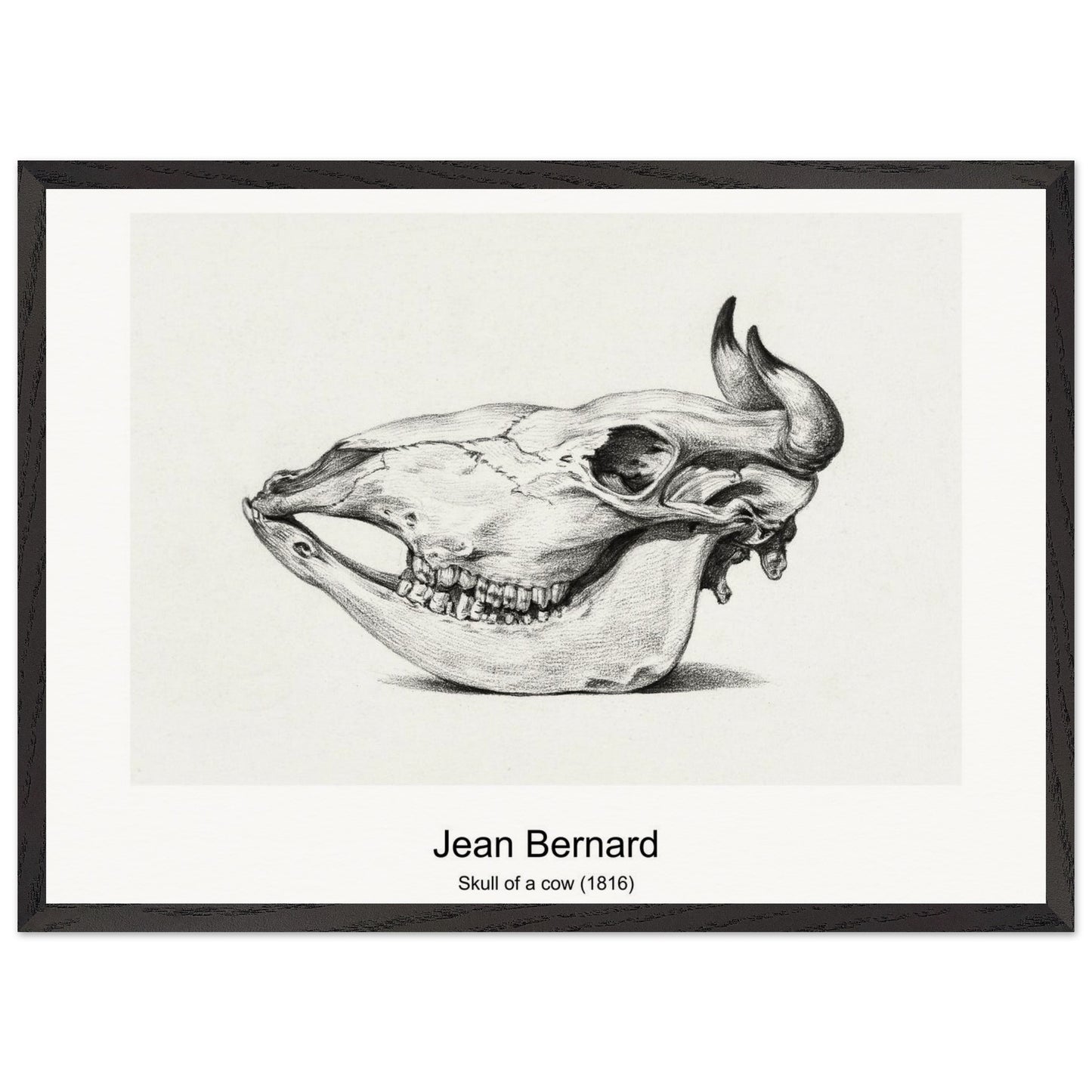 9b515902-8096-4f12-a041-2fe8eb625202