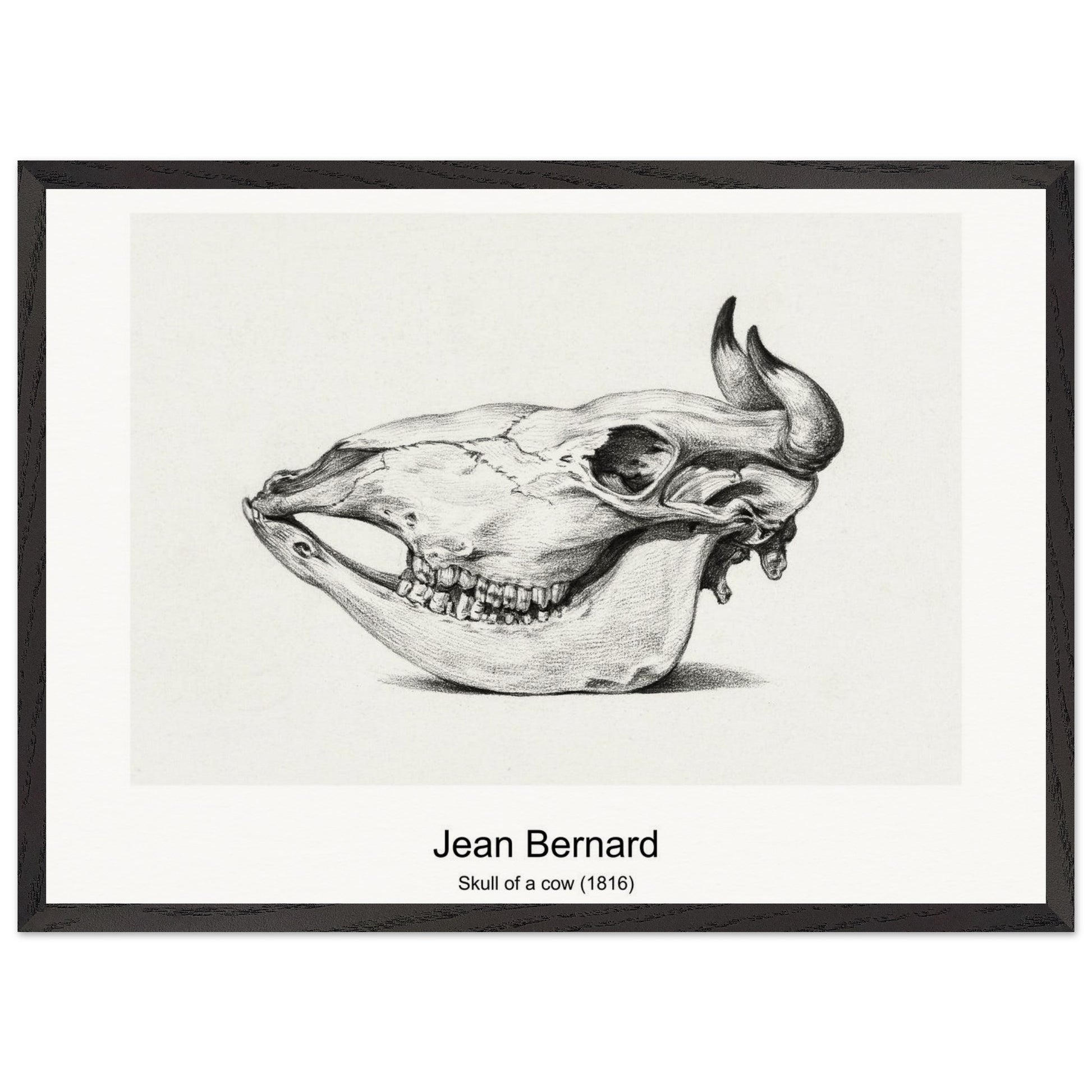 9b515902-8096-4f12-a041-2fe8eb625202