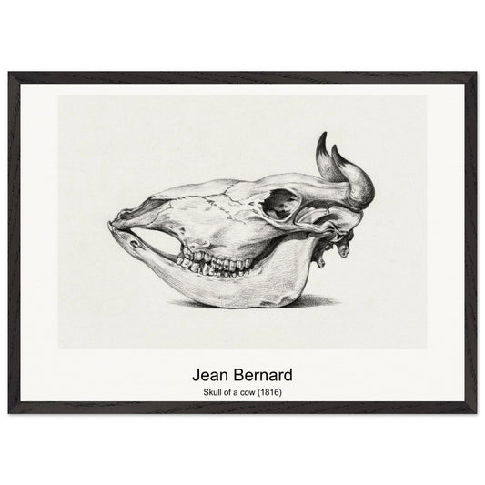 9b515902-8096-4f12-a041-2fe8eb625202