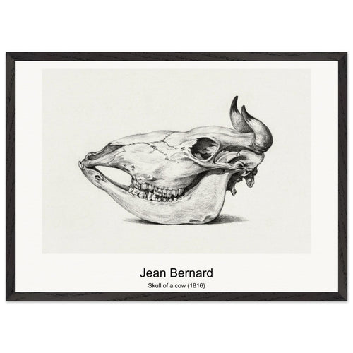 Skull of a cow (1816) by Jean Bernard. Archival Print on Museum Quality Matte Paper. Premium Wood Framed Wall Art. Original Aspect Ratio