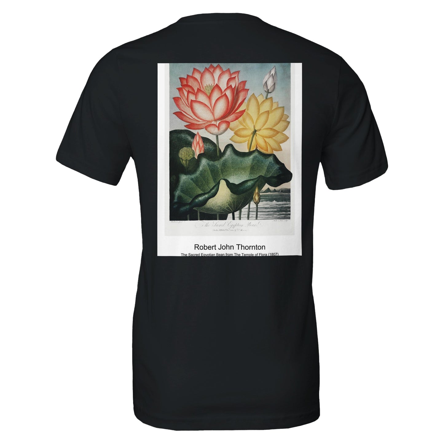 9c873a65-c7f7-4a0f-9c3d-0ef69abd6ac4