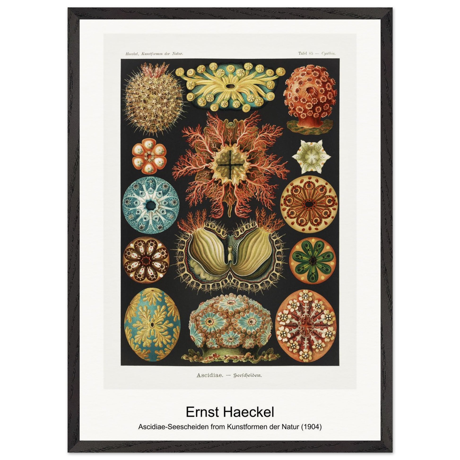 9cc65b0a-8cac-458b-b31f-c623d39ee5f2