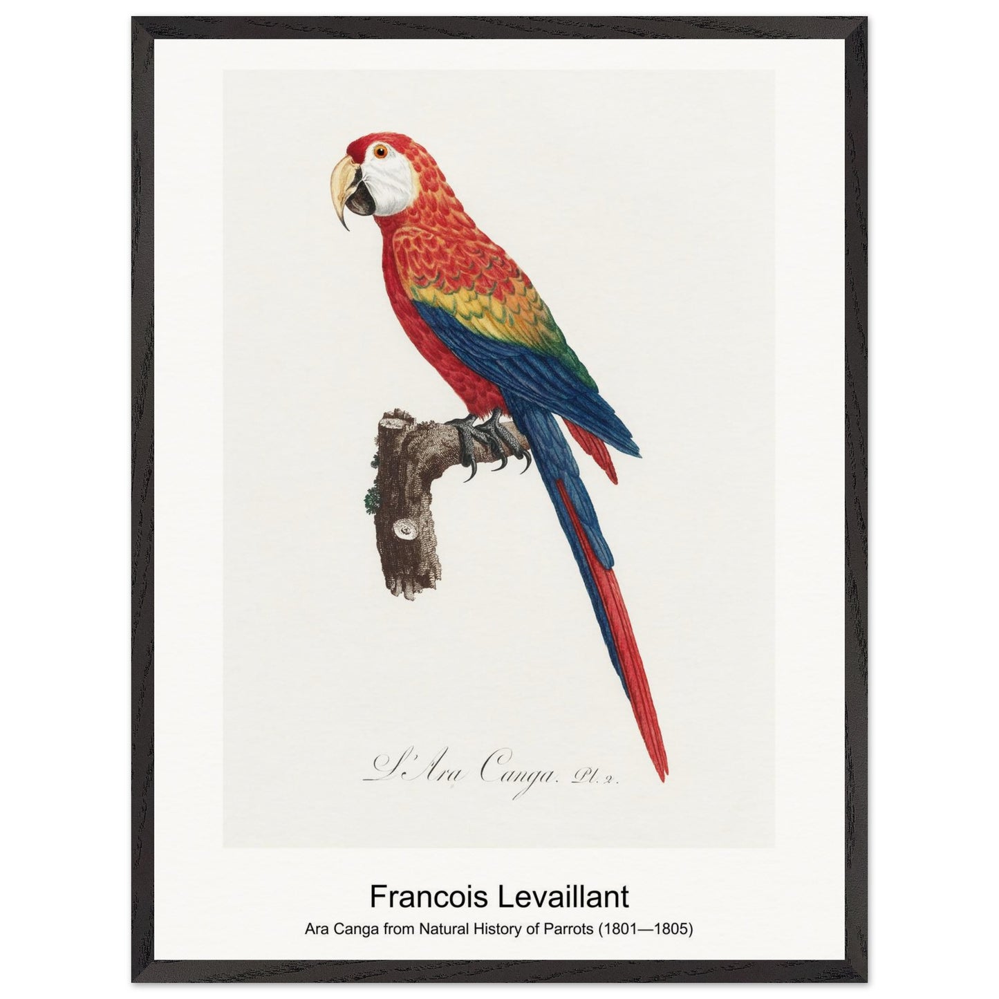 9d216ece-fd07-4e6e-bd5a-3f2d89593404