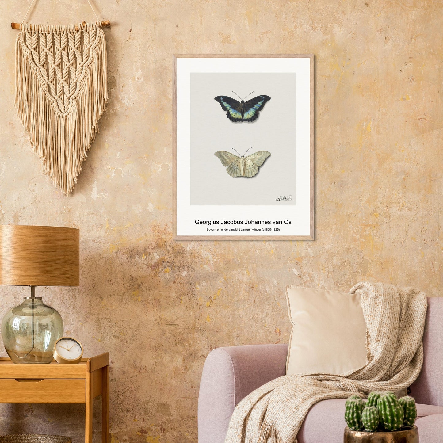 9d6ea8b0-3df6-4c9f-a5dc-ed71a43f5ccc