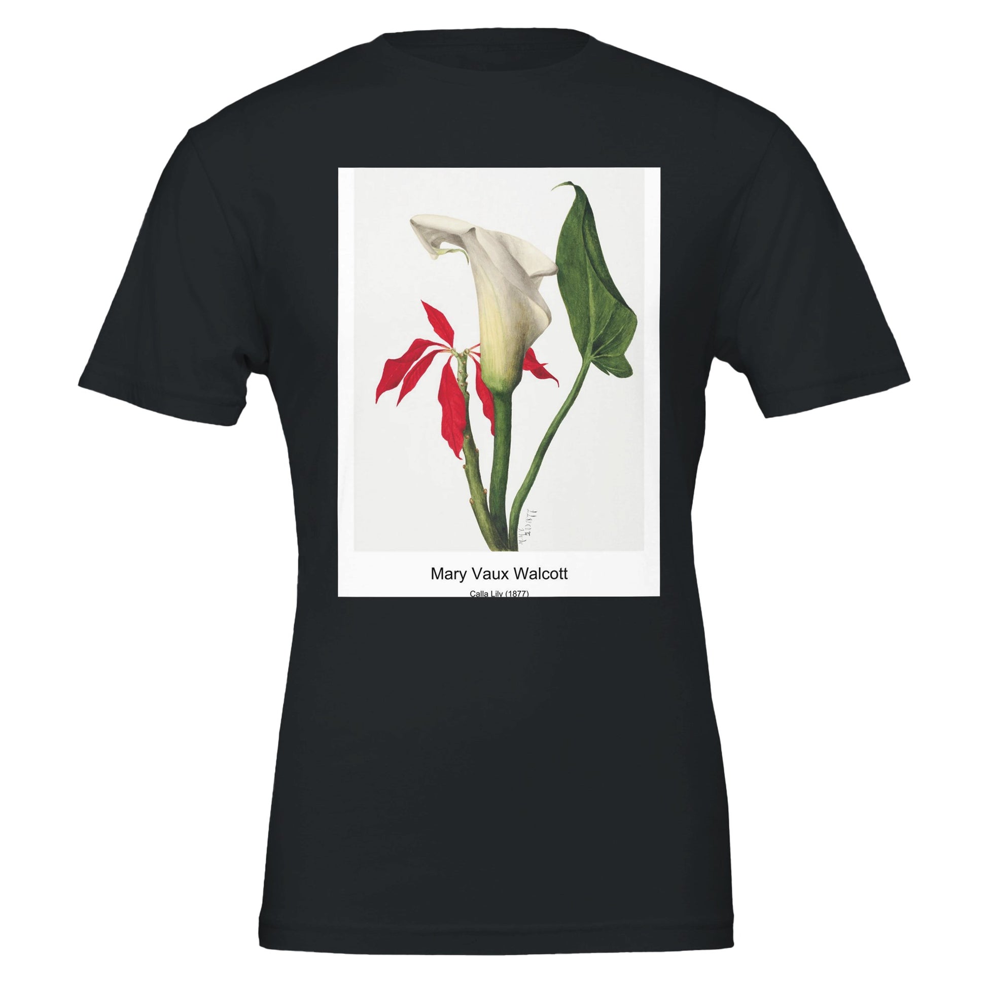 9e34845a-8f13-4351-b73c-7a1f0f20a25e