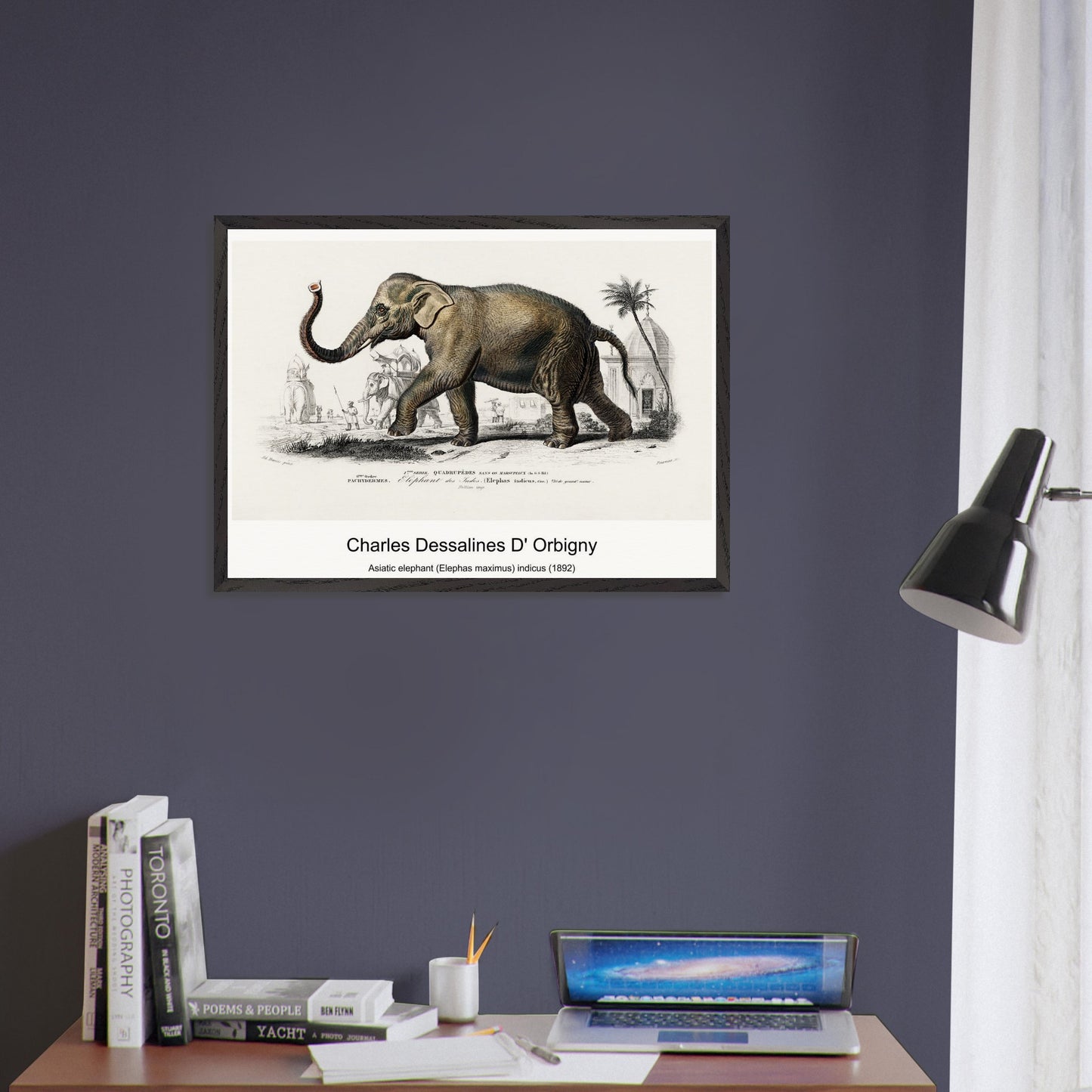 a01344a8-7907-4b18-80a9-7f47f67c84e0